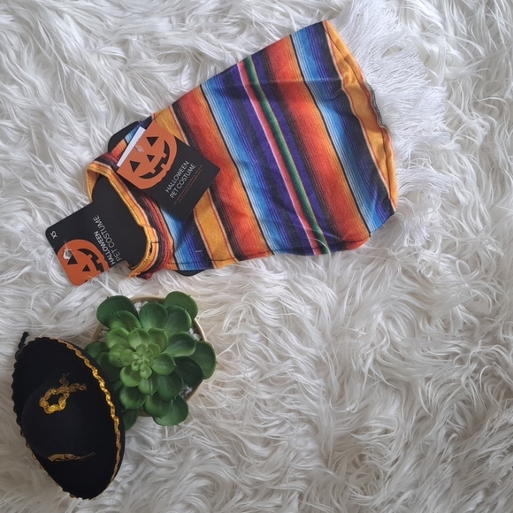 Halloween Pet costume hat with pancho size small - Picture 2 of 7